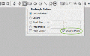 snap-to-pix-opt snap-to-pix-opt