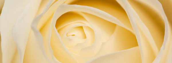 FB Cover Image free FB cover image