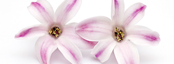 Facebook Timeline Cover Image free FB timeline cover