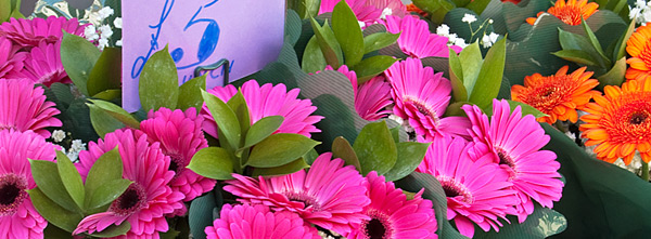 Facebook Timeline Cover Image free FB timeline cover