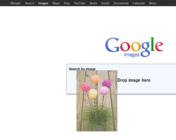 image recognition Google search