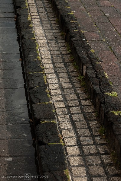 pavement green wooden 