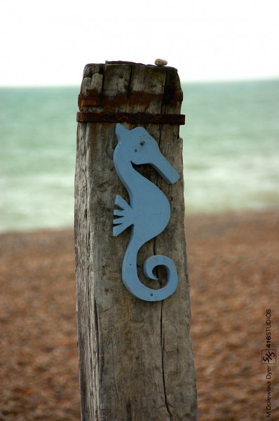 Seahorse wwpw2014 Brighton & Hove seahorse pebble beach rusty