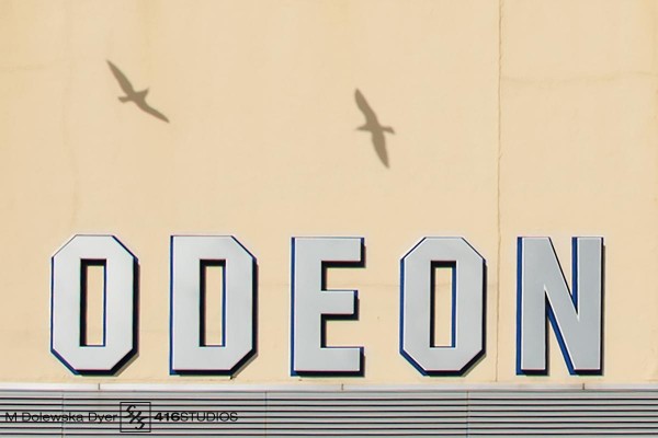 Shadows - Gulls shadows in photography gulls seagulls shadows on the building wall