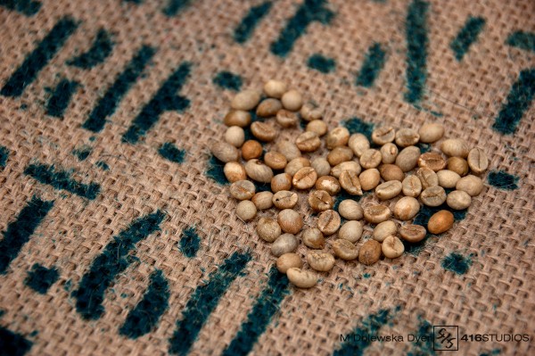 52 Week Photography Project - Texture - Coffee Love photo of raw coffee beans on the top of coffee jute bag