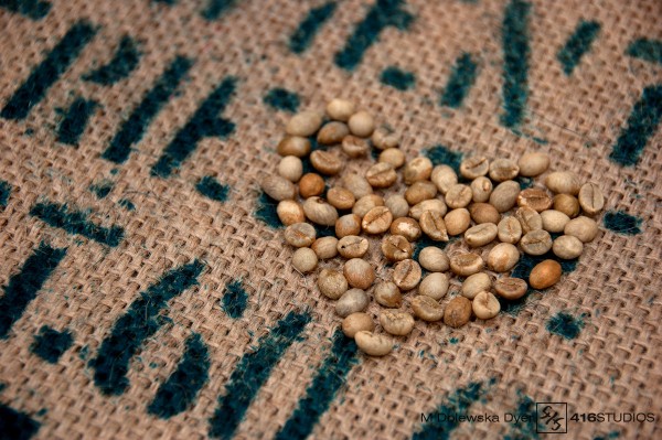 photo of raw coffee beans on the top of coffee jute bag 