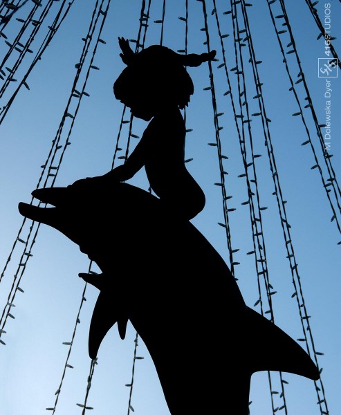 silhouette of a girl riding a dolphin 