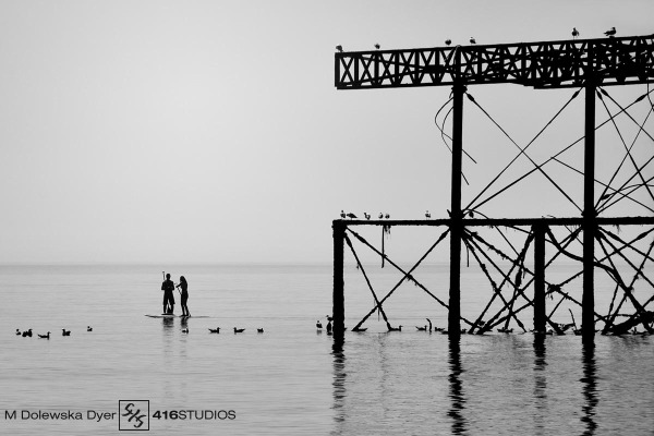 Black & White - Couple with Gulls black & white photography b&w photos black and white sepia