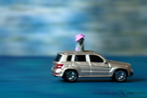 Panning - The Cat in Pink Hat panning in photography
