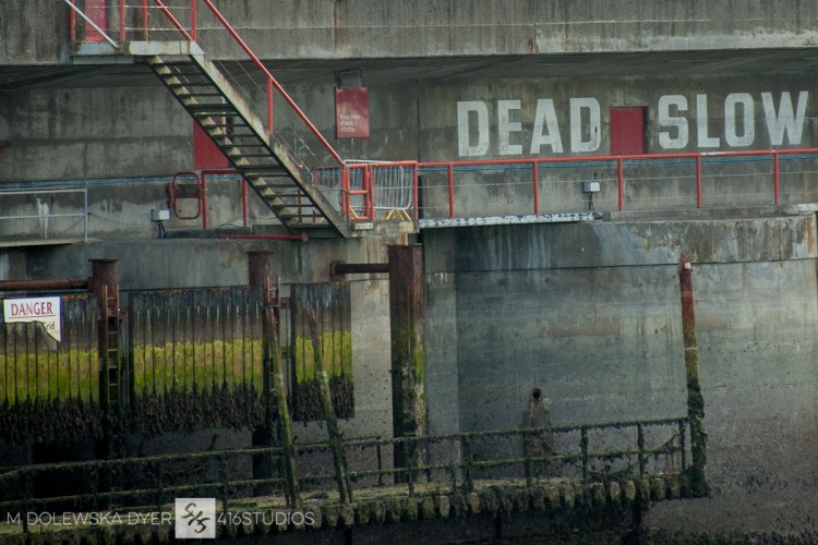 500px Fujifilm Global Photo Walk - Brighton dead slow Brighton Marina Arm