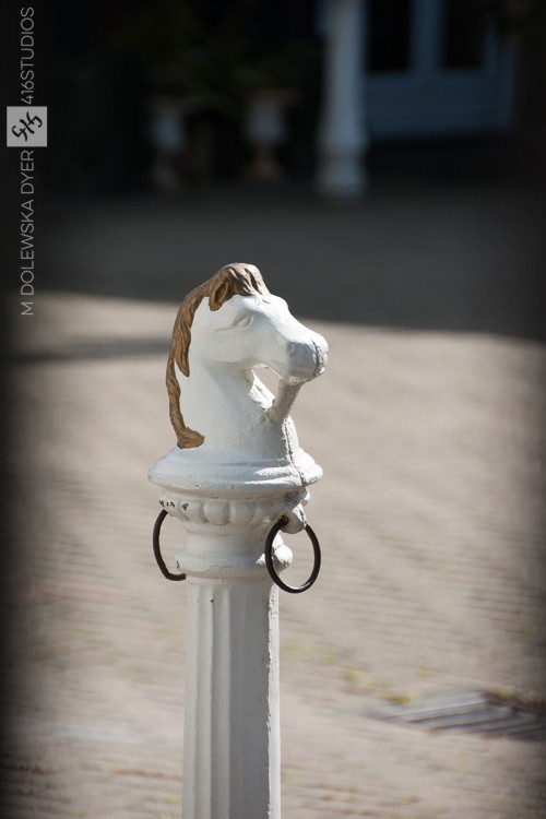 500px Fujifilm Global Photo Walk - Brighton pony horse vignetting