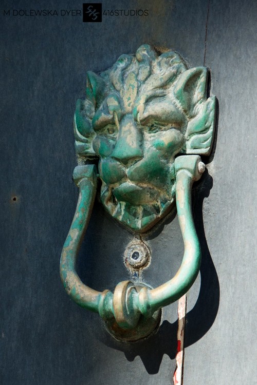 lion door knocker door handle